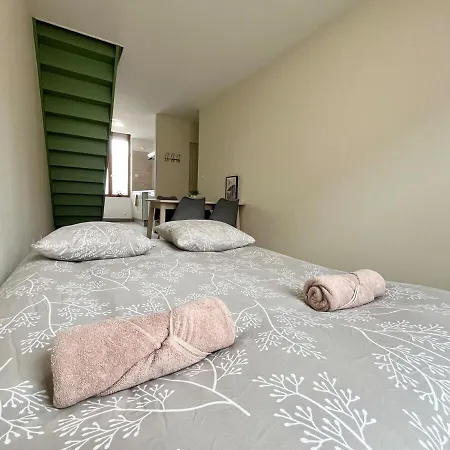 Apartamento Duplex Renove A 15 Min De Lyon