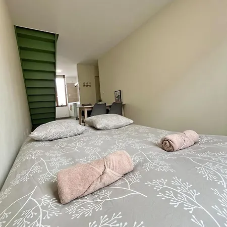 Duplex Renove A 15 Min De Lyon Saint-Fons