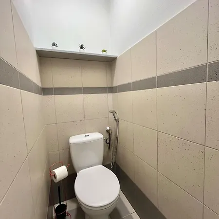 Duplex Renove A 15 Min De Lyon